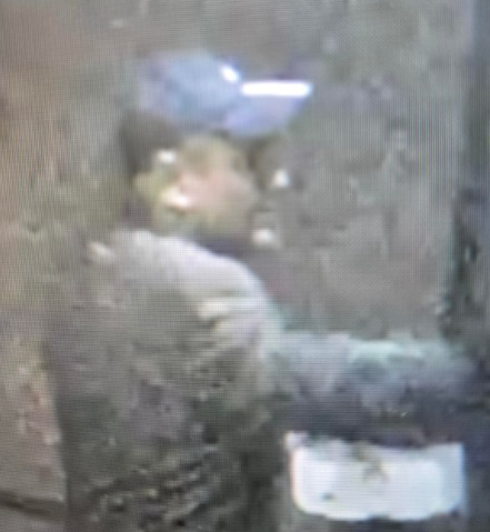 ID appeal following multiple incidents of criminal damage in Kemptown