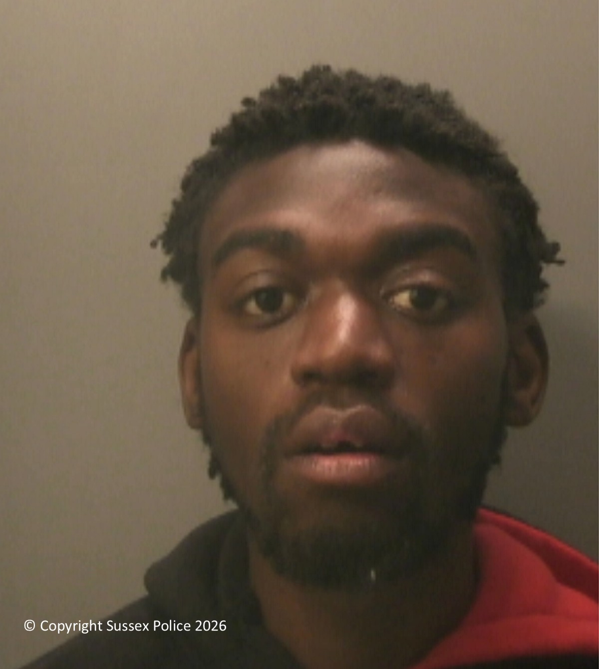 Chichester shoplifter Mwiya Kamutumwa jailed