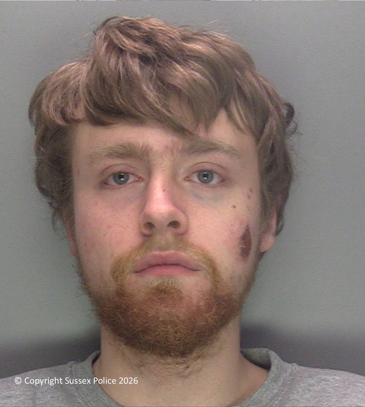 Connor Gooderson jailed for offences in East Grinstead